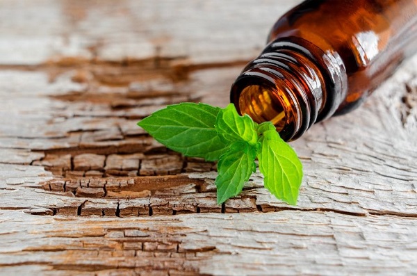 Mua tinh dầu bạc hà giá rẻ ở đâu uy tín