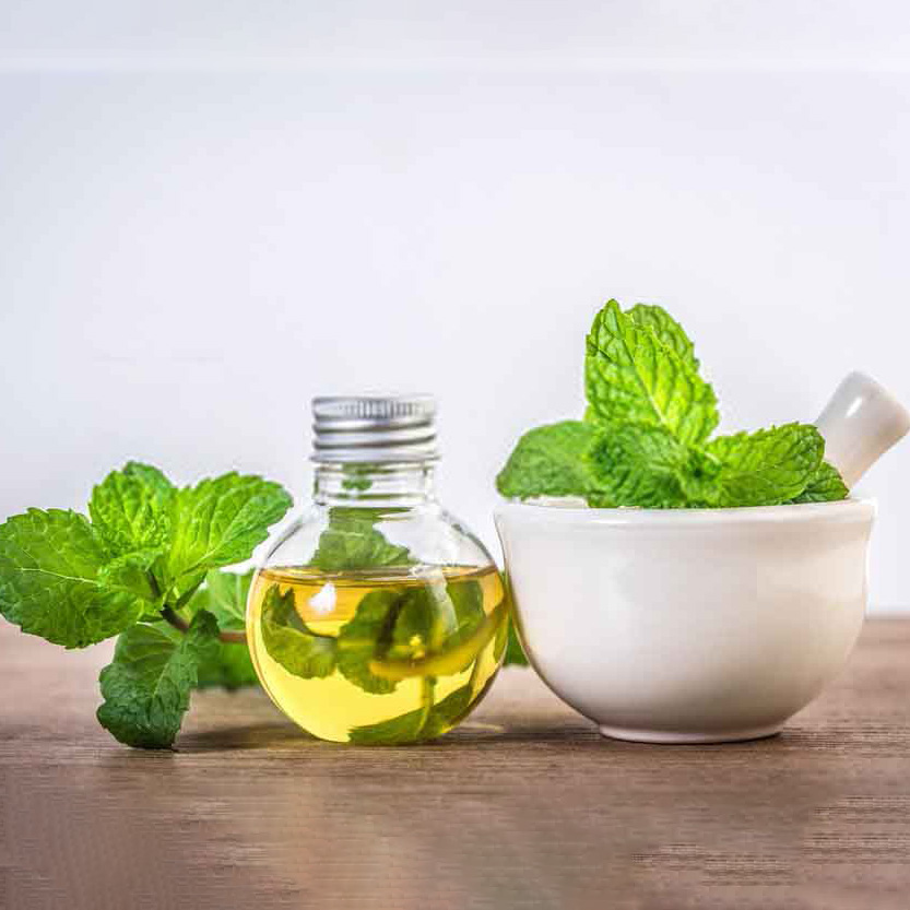 Tinh dầu bạc hà bán với giá bao nhiêu?