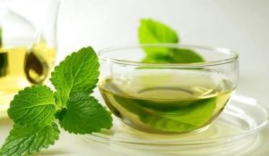 Tinh dầu bạc hà giá bao nhiêu