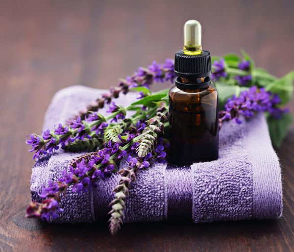 tinh dầu oải hương giá bao nhiêu