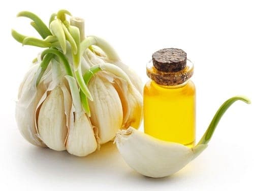 tác dụng của tinh dầu tỏi