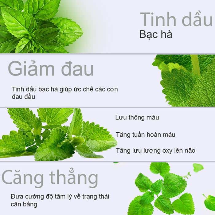 Các tác dụng tuyệt vời mà tinh dầu bạc hà mang đến