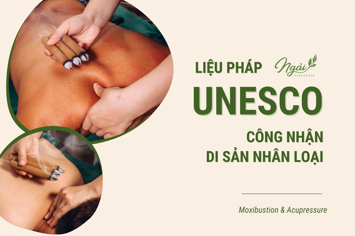 Dụng cụ cứu ngải toàn thân